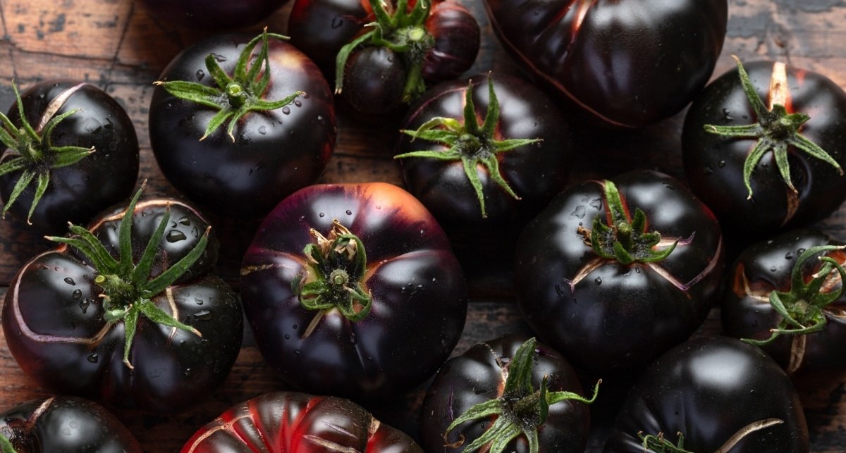 Kipróbálnánk valami újat? Akkor ültessünk fekete paradicsomot a kertbe!