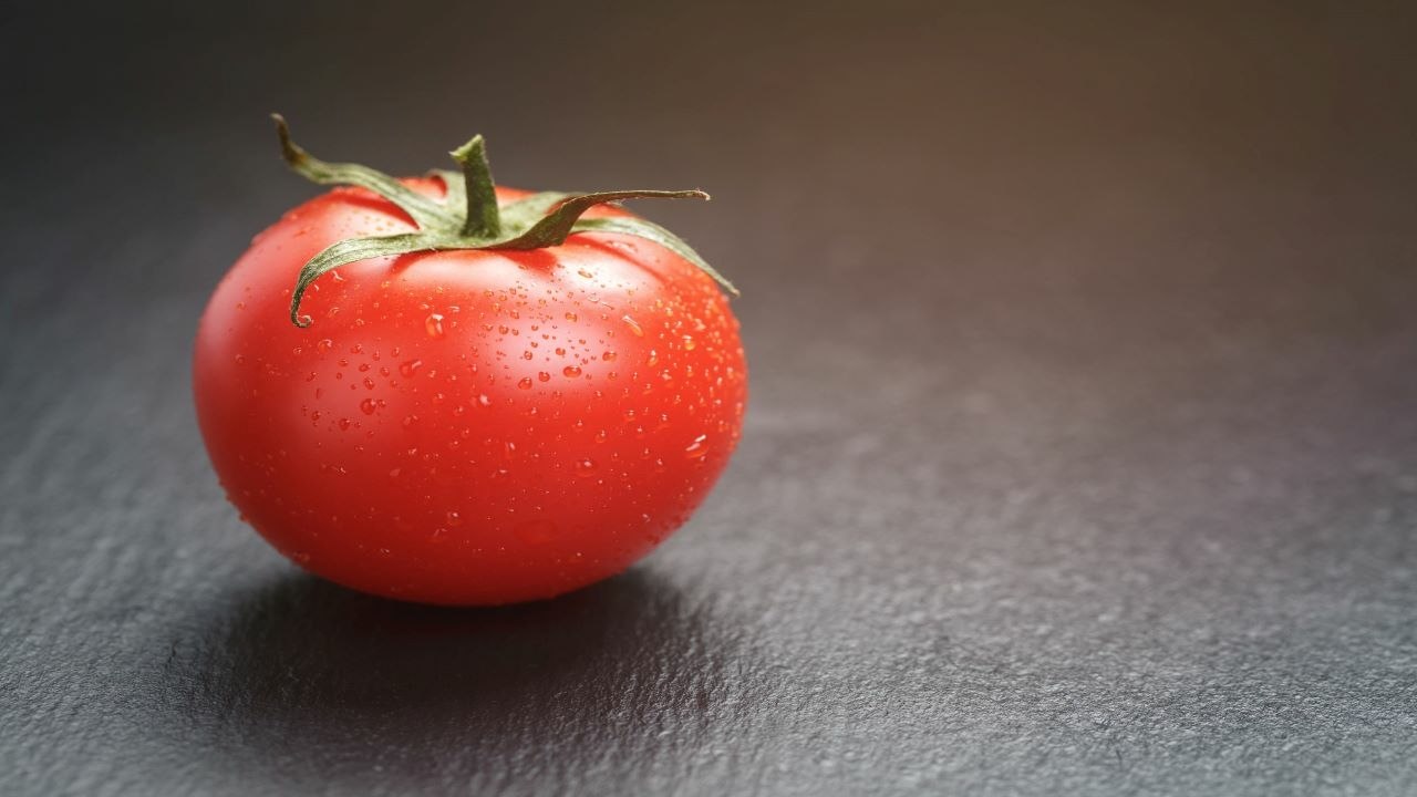 Egy rejtélyes betegség lehet idén a híres magyar paradicsom legnagyobb ellensége