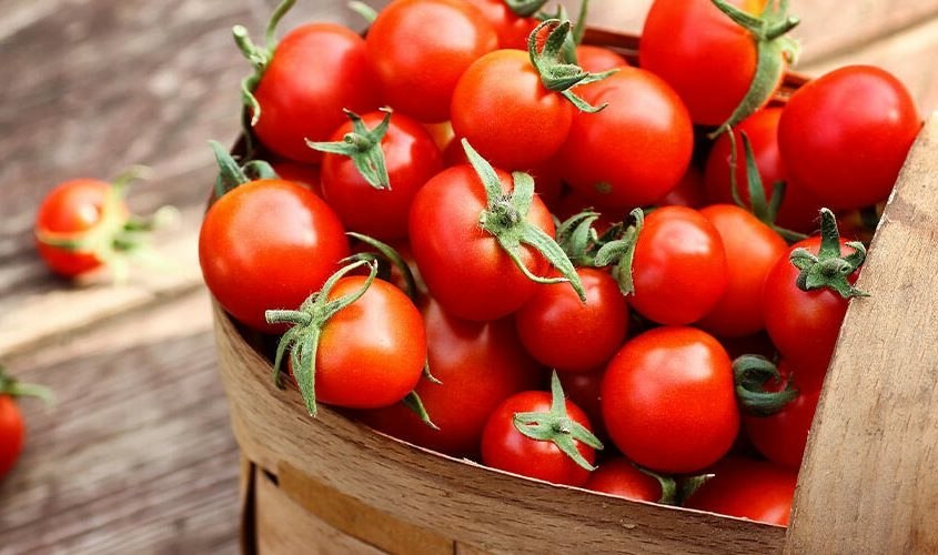 Régen minden jobb volt: valóban változott a paradicsom íze az évek alatt?